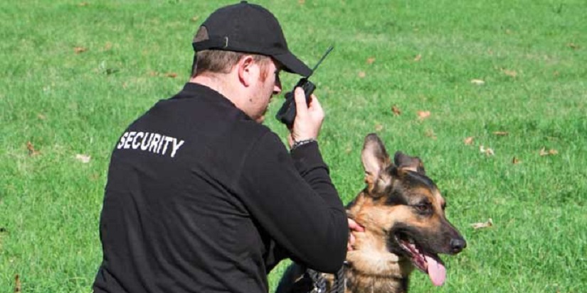 03Dog-Handlers01